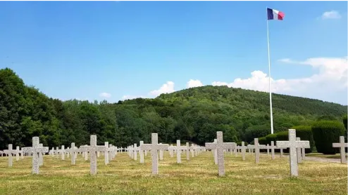 Photo of the battlefield filled with crosses